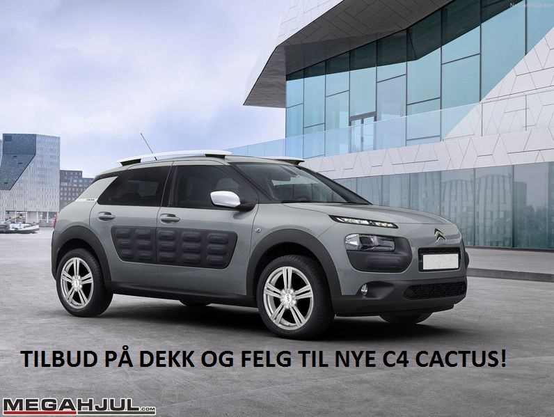 felger-dekk-c4-cactus